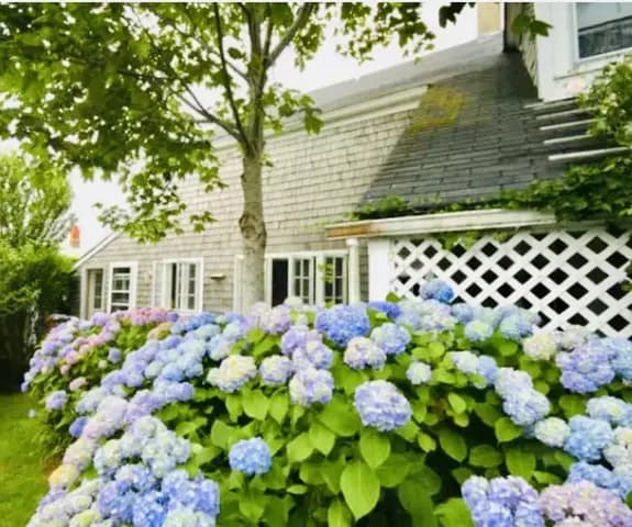 5 bedroom home in charming "Sconset village"